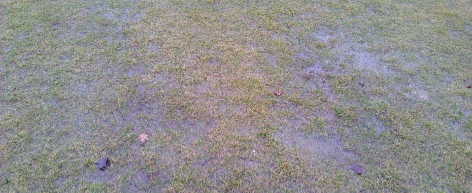 Tak wyglądało dziś rano boisko na stadionie w Jeleniej Górze