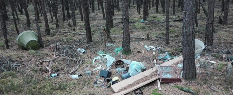 Śmieci w podgorzowskim lesie