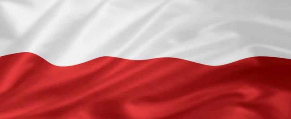 Kto świętuje na majówkę? Miasto, wojewoda, SLD i biuro poselskie
