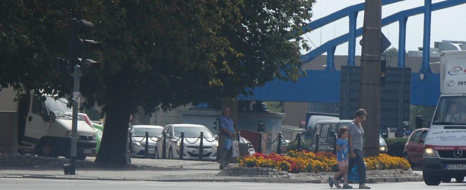 Pasy pod katedrą? Radny postuluje, miasto się zastanowi