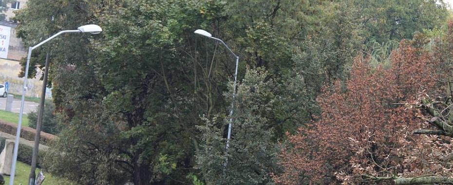 W grupie raźniej i taniej