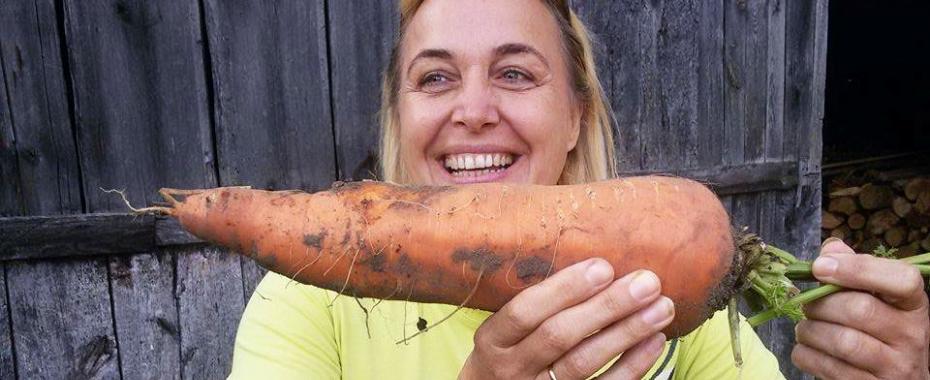 Mega marchew pani Gabrysi z Manhattanu trafi do rosołu