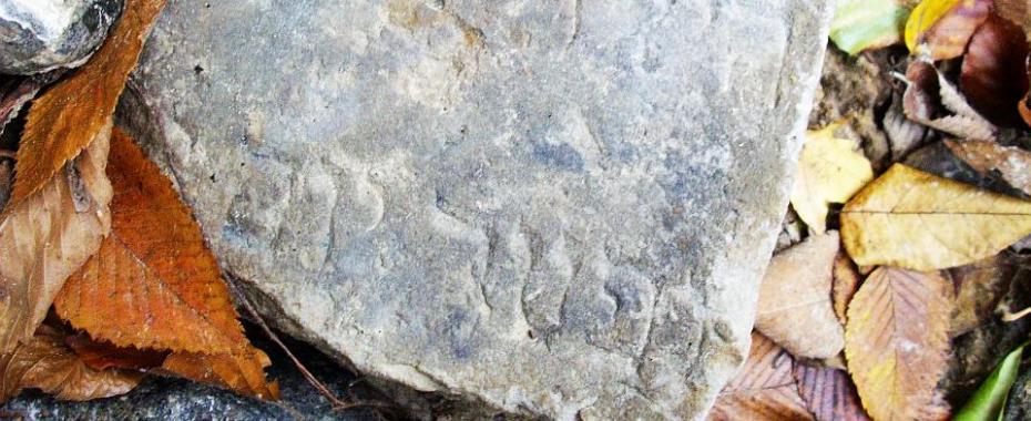 Jaką historię skrywa ulica Walczaka?