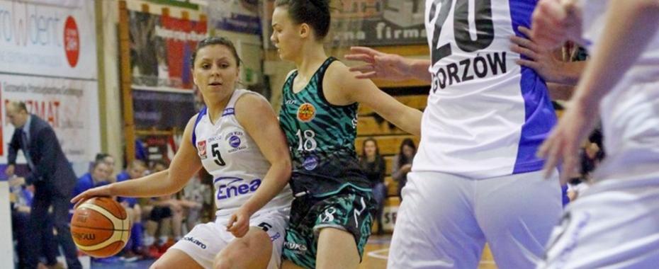 Poza koszykówką wyjazdy. Na arenach [KOMPLET WYNIKÓW]