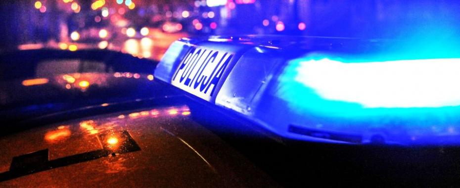 Dzielny Ivo wywąchał „niszczyciela” z Zubrzyckiego