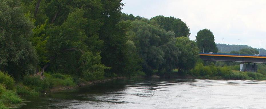 Co chcą obywatele dla miasta, ogólnie
