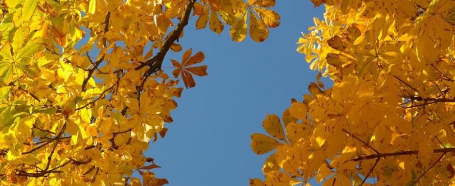 Prognoza na weekend od FaniPogody.pl