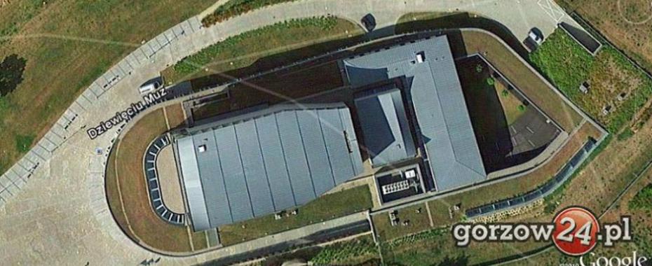 Własny konar za filharmonią