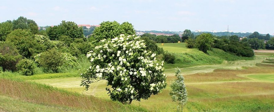 Kul-rozkład do 6 maja. Majówka...