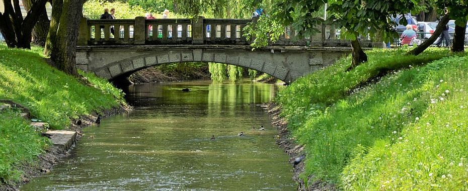 Gorzowianie dopytują o meszki. Jest odpowiedź