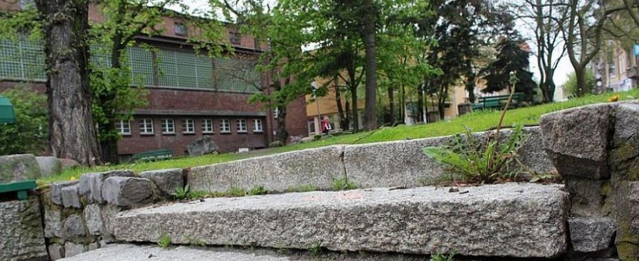 Nowe tereny zielone, ale z wycinkami