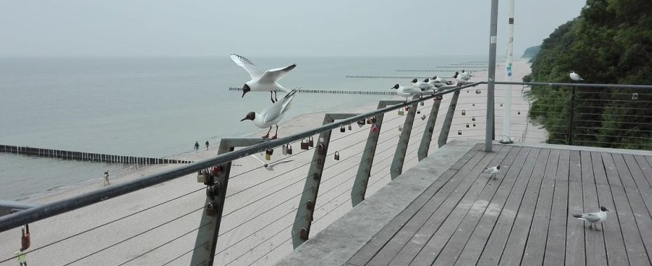Letnie migracje. Dokąd i skąd?