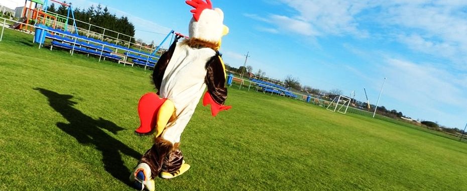 Święto Pieczonego Kurczaka [PROGRAM]