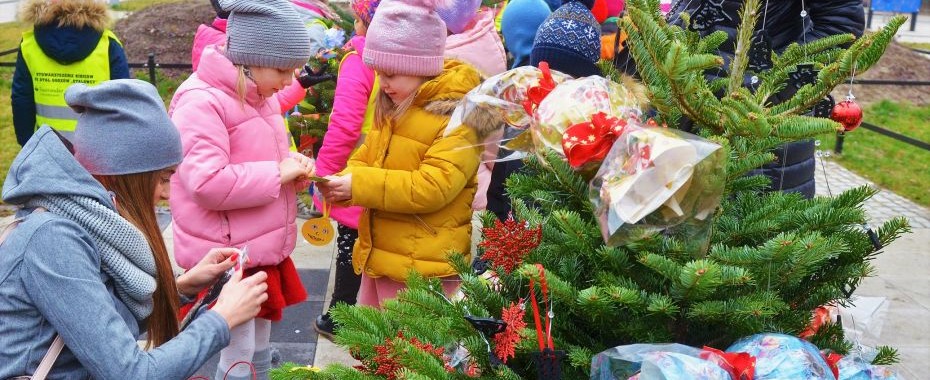 Choinki udekorowane... Święta na Kwadracie