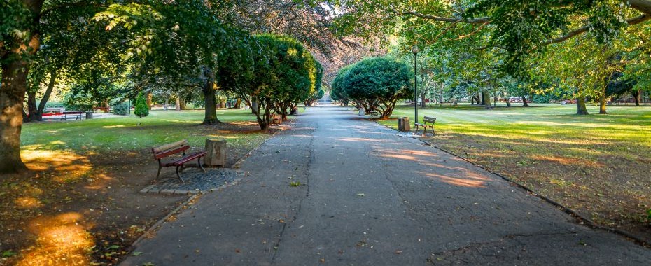 Do końca roku nowy park!