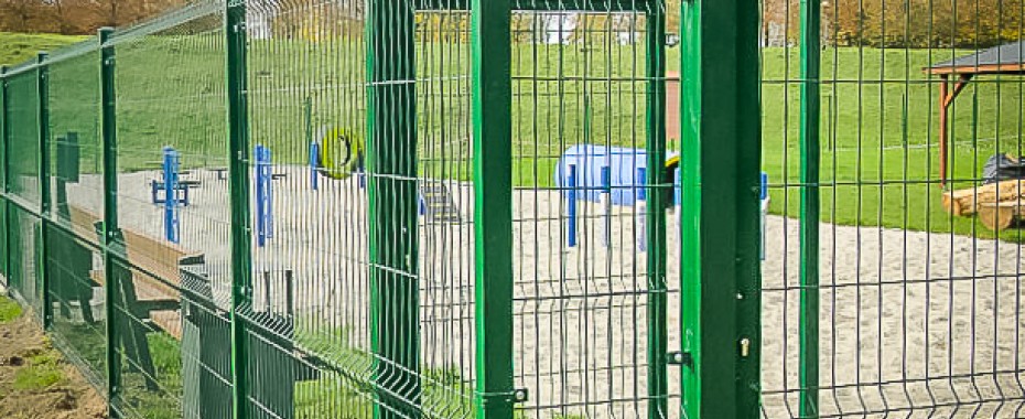 Psia polana w parku Górczyńskim