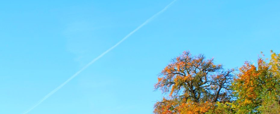 1 listopada chłodny, ale bez deszczu
