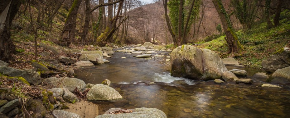 Krynica-Zdrój – wyjątkowe miejsce na wypoczynek