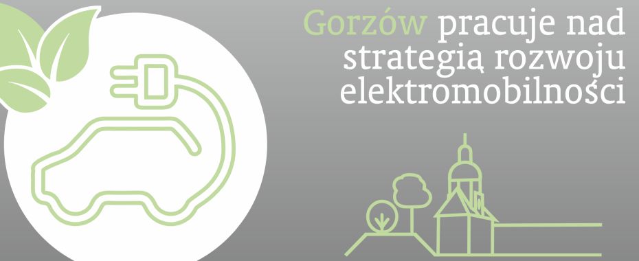 Ważne odpowiedzi dla strategii elektromobilności