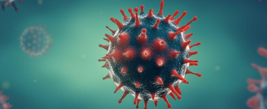 Covid/7 stycznia: Gorzów - 39, lubuskie - 379 zakażeń