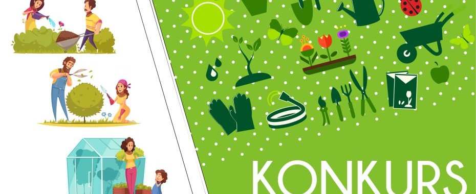 Miasto namawia na zieloną inicjatywę!