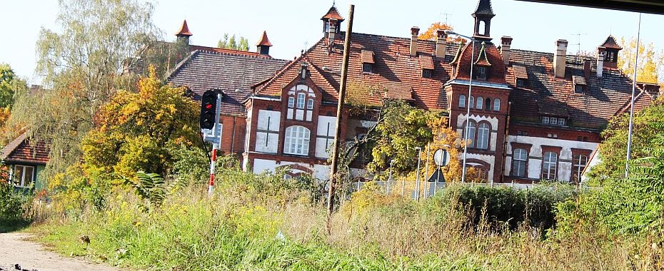 Dyrektora CEZiB wyprzedził pełnomocnik