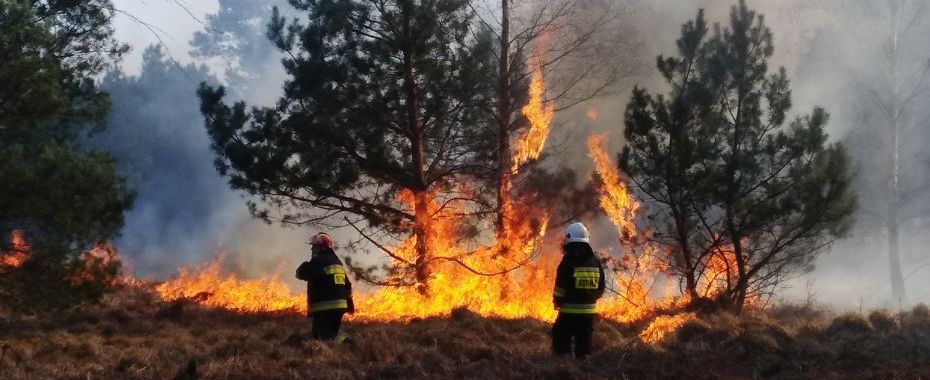 Uwaga w lesie! Wysokie zagrożenie pożarowe