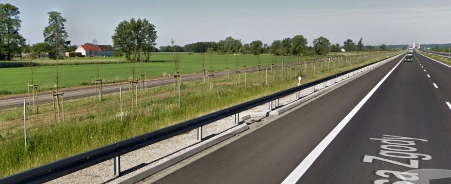 Czytelniczka alarmuje: Giną drzewka przy esce!