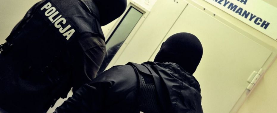 Przestępca złapany gdy na chwilę wpadł do Polski
