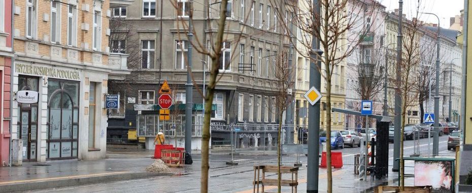 Nowe drzewa na nowej Chrobrego