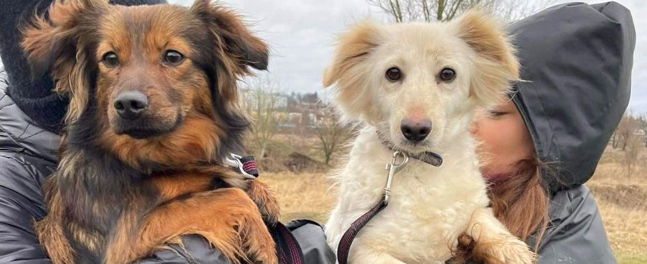 W niedzielę Walentynki z Azorkami