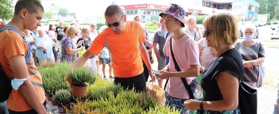 „Gorzów dla pszczół” uczynił z miasta Super Samorząd