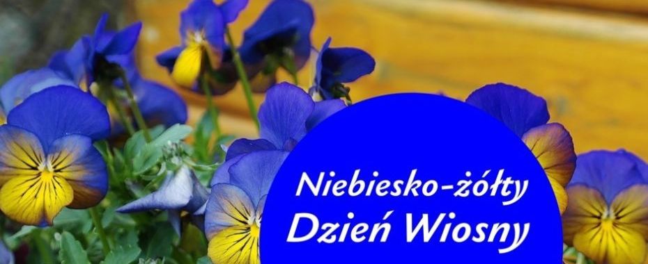 Smacznie przy katedrze w dzień wiosny