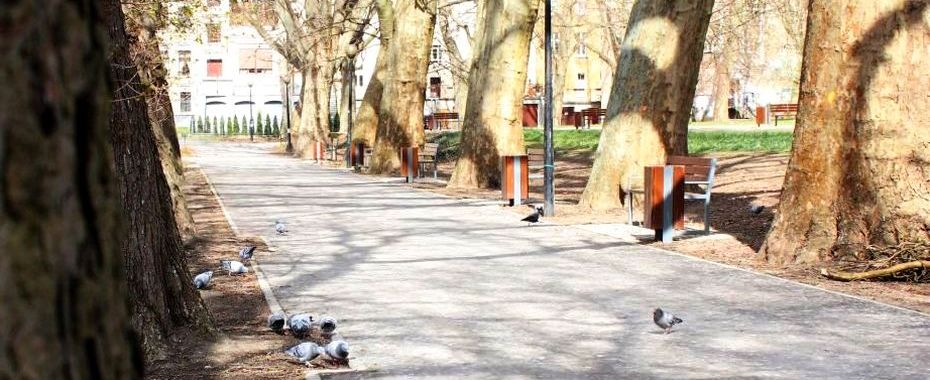 Танці, вікторини в травні в парку Троянд