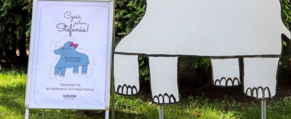 Nos w nos zapowiada się rewelacyjnie