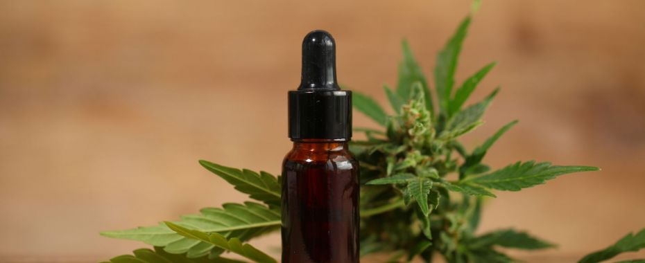 Olejek CBD 30% - zastosowanie