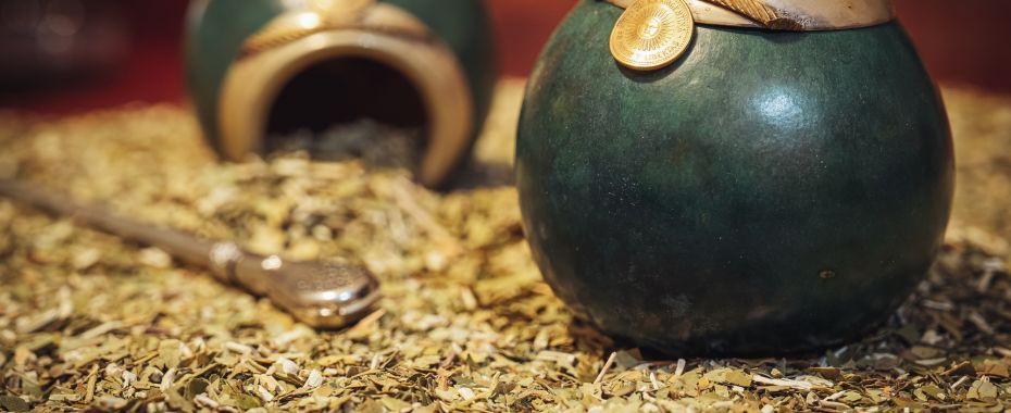 Czym jest yerba mate i jak wybrać idealny napar?