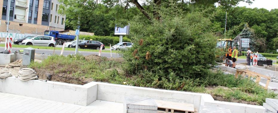 Miasto szykuje niespodzianki przy Słońcu