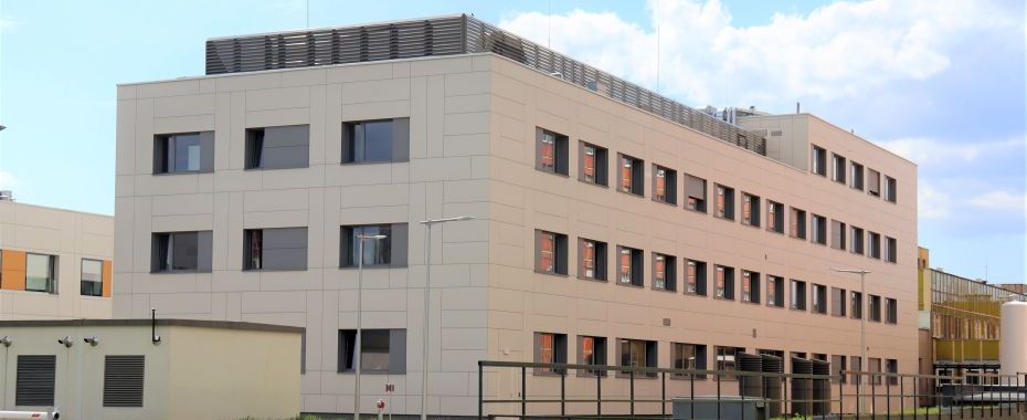 Skok medyczny przy Dekerta: z korzyścią dla chorych na białaczkę!