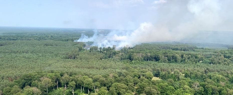 Будьте обережні в лісі