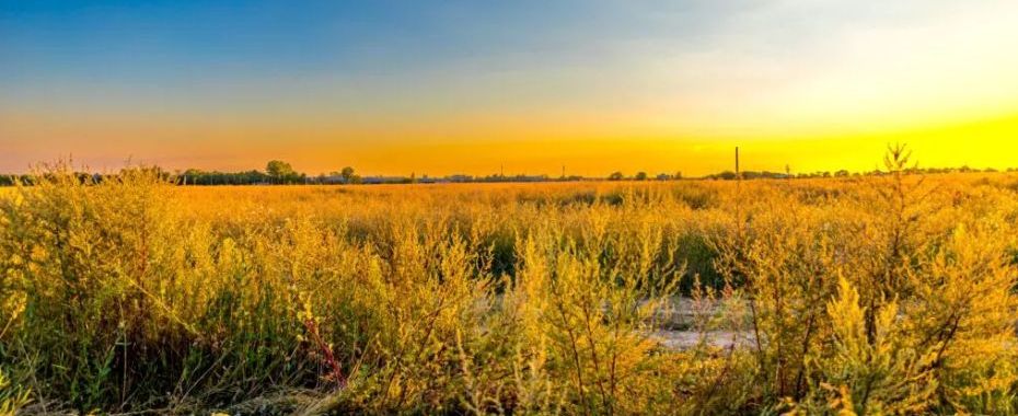 Розширення транспортного сполучення на півночі міста