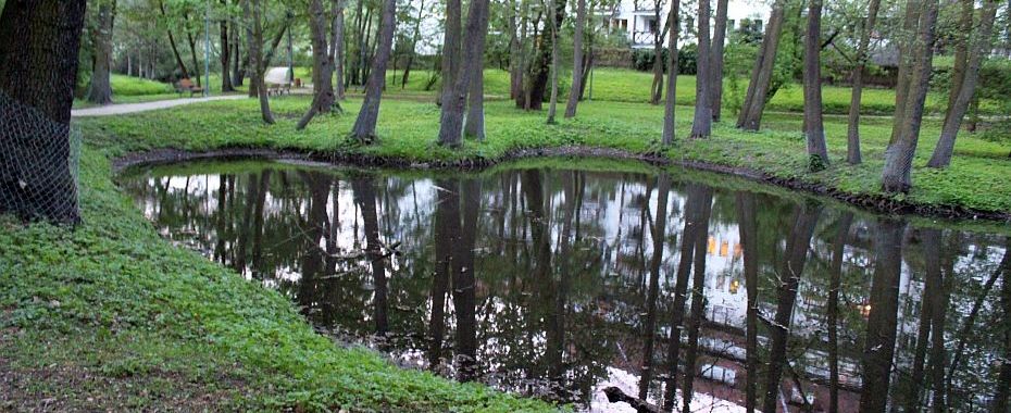 Місто замовить дорогу, але водночас важливу послугу