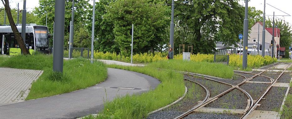 Autobus zamiast tramwaju na Wieprzyce