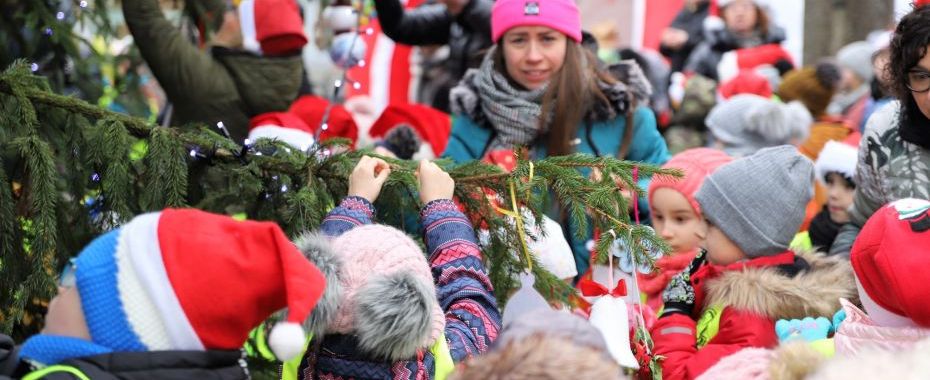 Магія Різдва вже у Гожуві