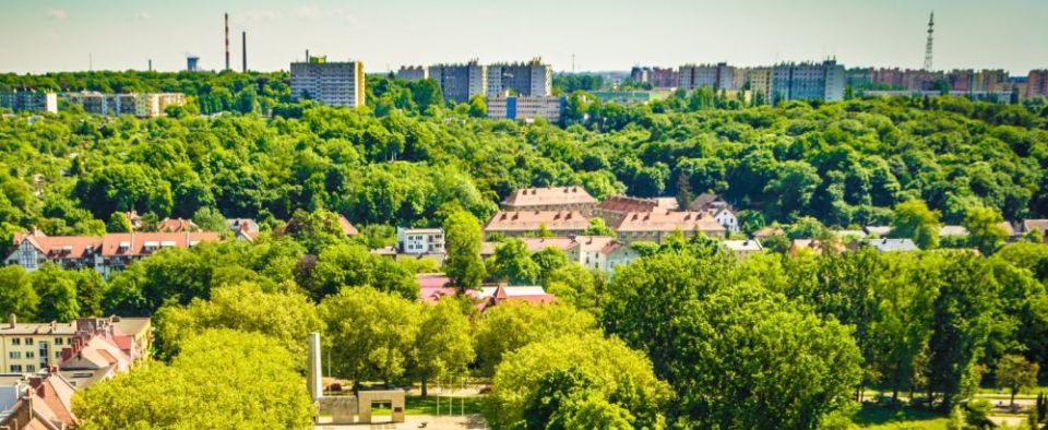 Miejskie zielone plany za 7,5 mln zł