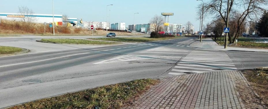 47 drzew - m.in. na Roosevelta i Górczyńskiej