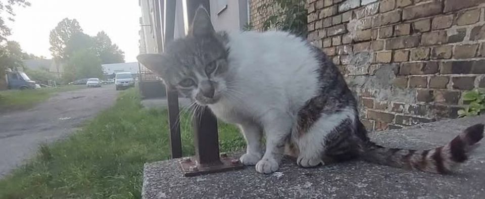 Nasza Czytelniczka prosi o pomoc