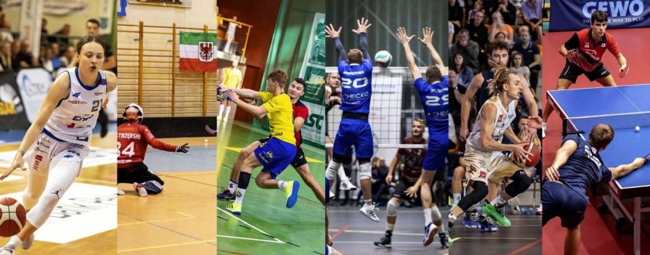Sport już wie, na czym stoi