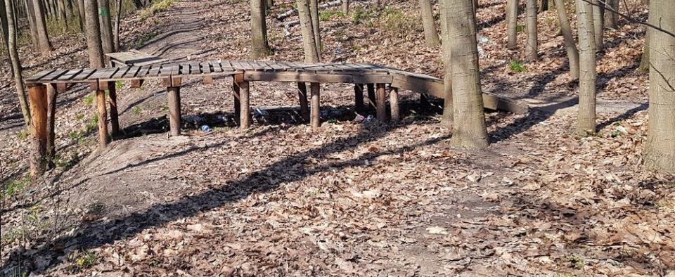 Park Czechówek w ciągu dwóch lat nieco zmieni oblicze