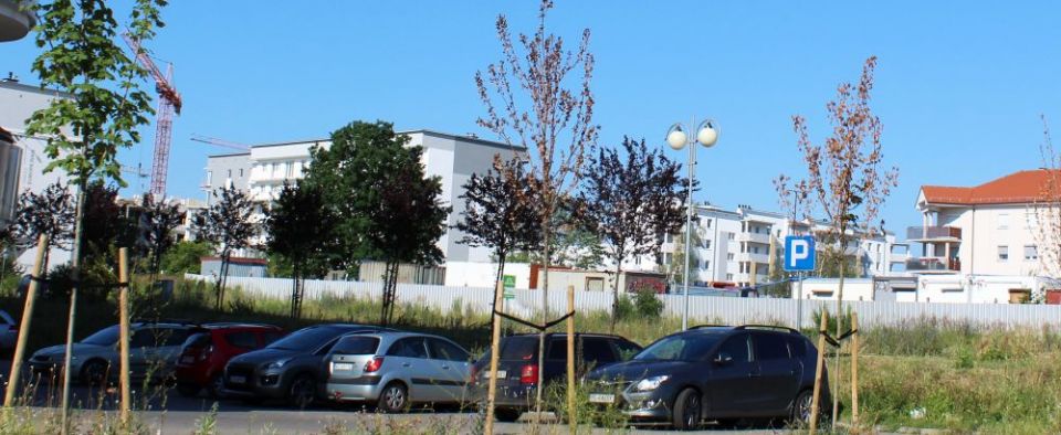 17 w październiku, 32 w listopadzie, 7 w grudniu – to liczba nowych mieszkań w GW